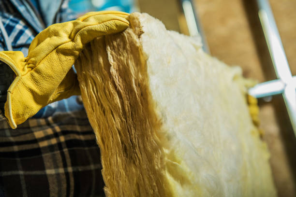 Best Attic Insulation Installation  in Clinton, IL